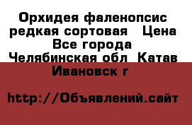 Орхидея фаленопсис редкая сортовая › Цена ­ 800 - Все города  »    . Челябинская обл.,Катав-Ивановск г.
